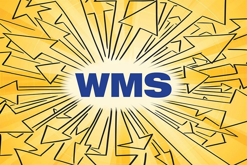 The Key to Modern Supply Chains: Automated Testing for WMS Success