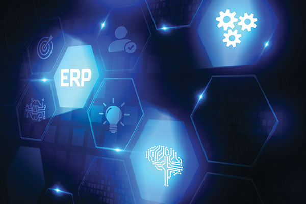 Enterprise Resource Planning (ERP) gains ground in supply chain management
